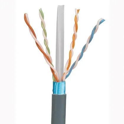 Dlink Cat 6A 10G UTP 24 AWG PVC Solid Cable - Front View